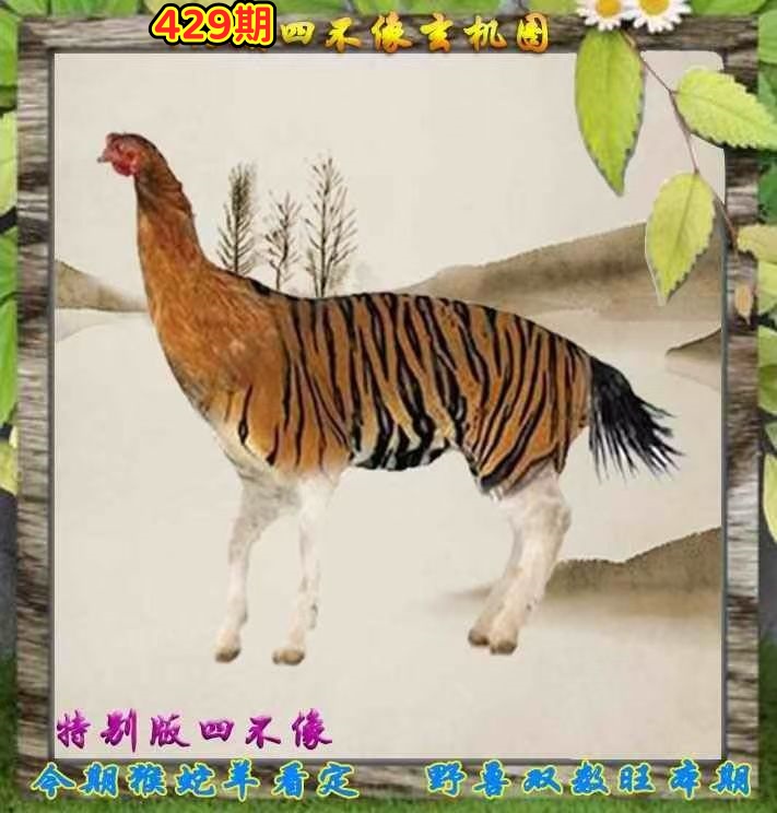 微信图片_20260429143800_50_3.jpg