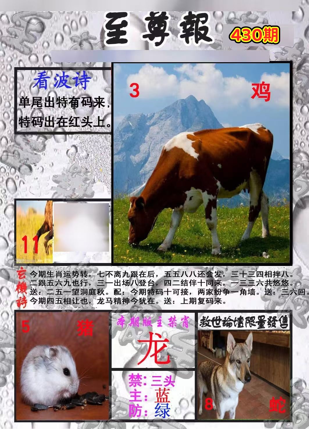 微信图片_20260430142733_199_3.jpg