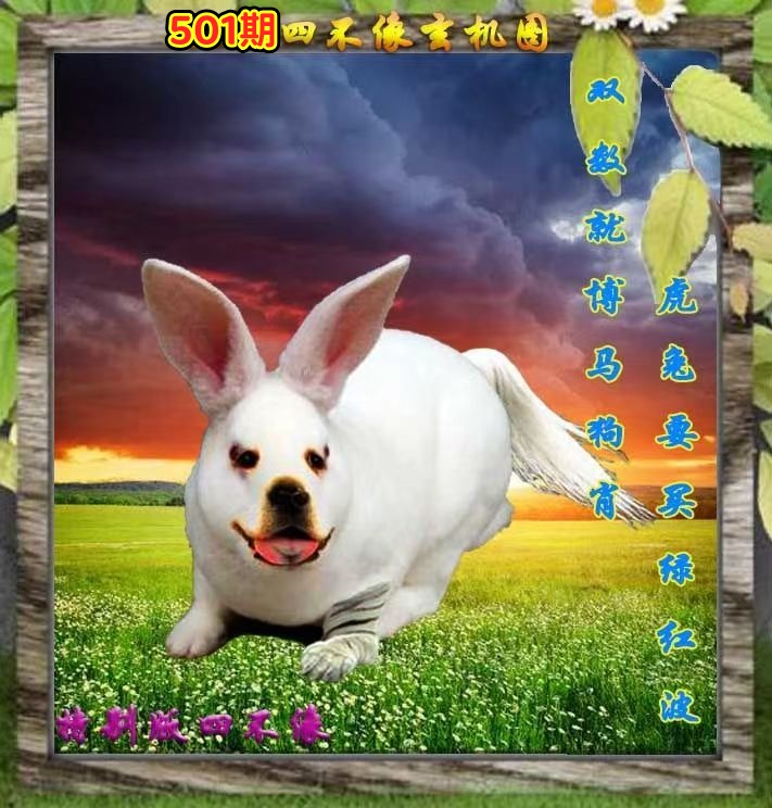 微信图片_20260501153847_290_3.jpg