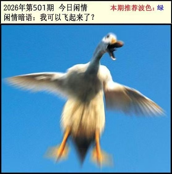 微信图片_20260501153824_273_3.jpg
