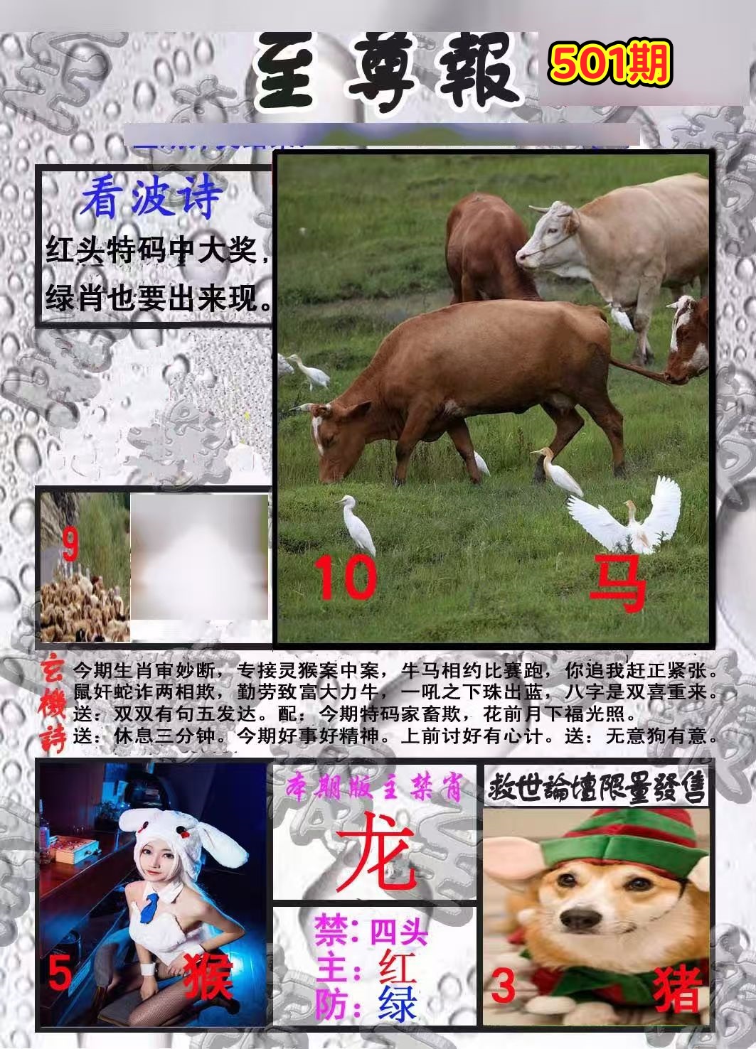 微信图片_20260501153842_285_3.jpg