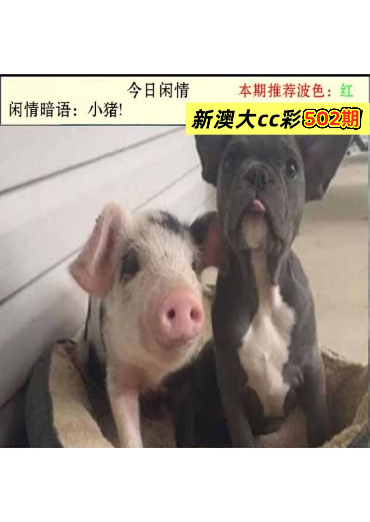 微信图片_20260502162636_393_3.jpg