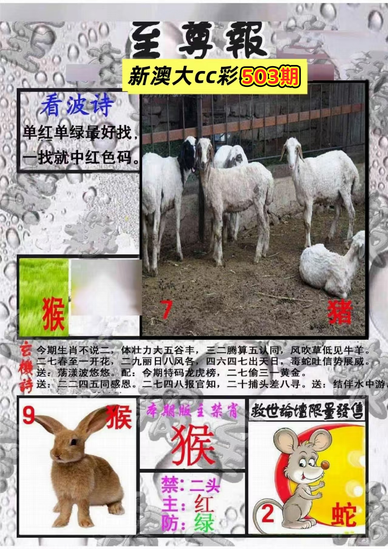微信图片_20260503141213_29_3.jpg