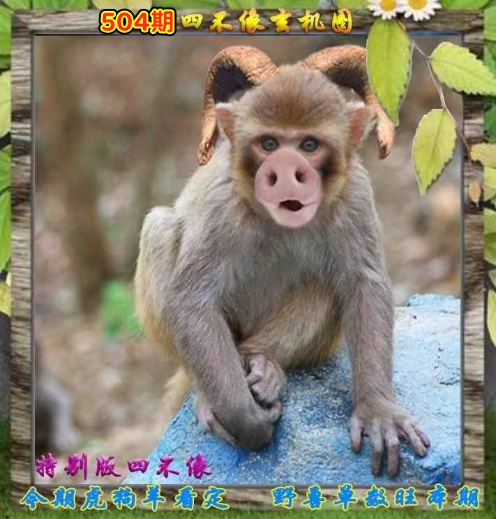微信图片_20260504163336_95_3.jpg