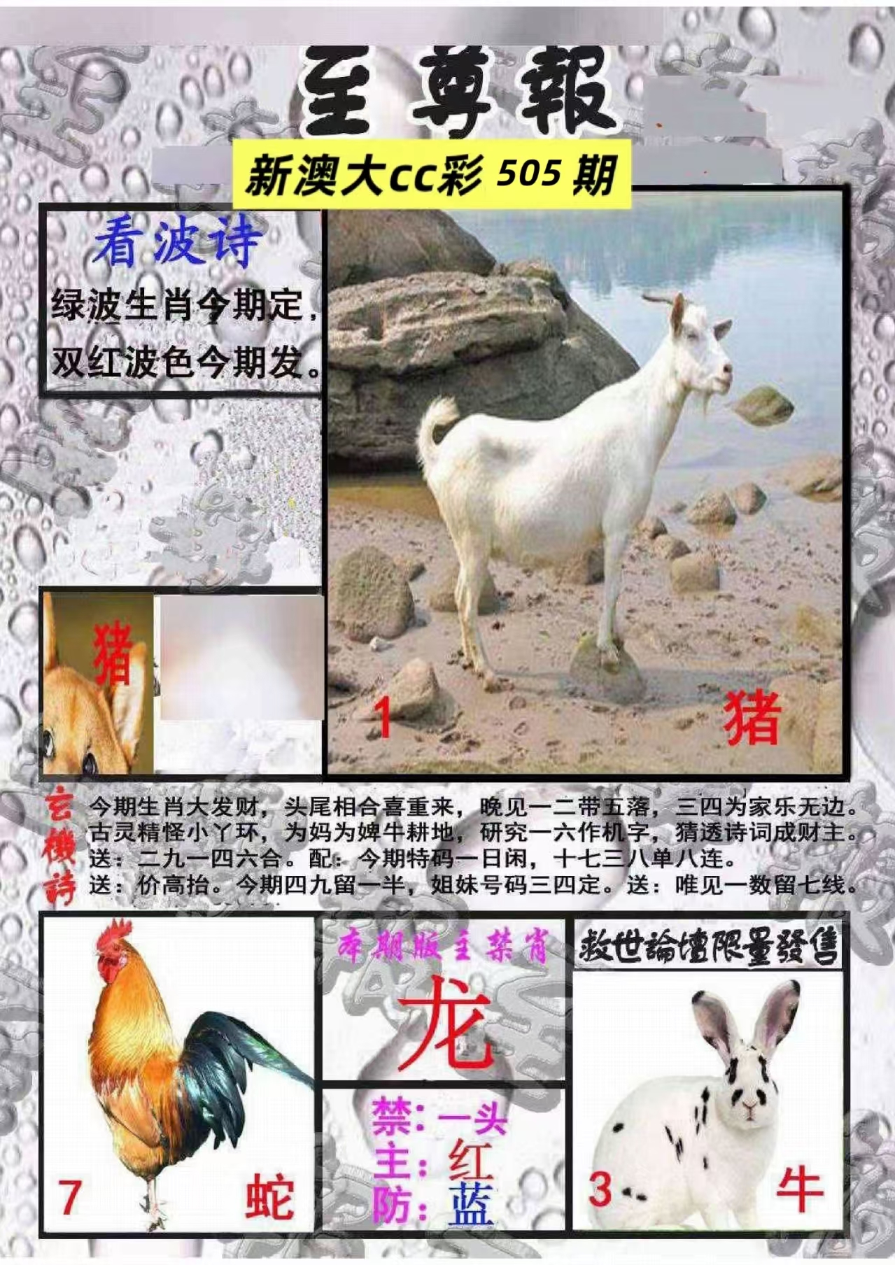 微信图片_20260505135346_209_3.jpg
