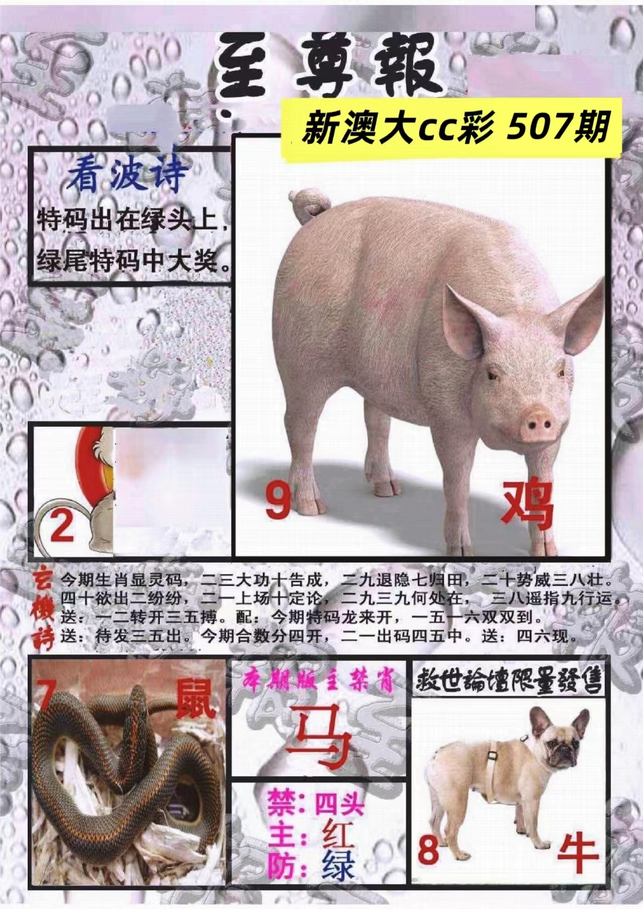 微信图片_20260507161111_22_3.jpg
