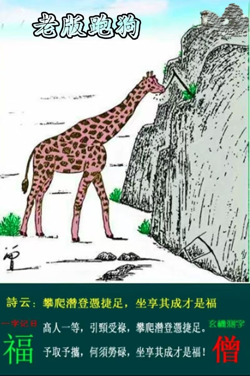 微信图片_20260510153942_33_3.jpg