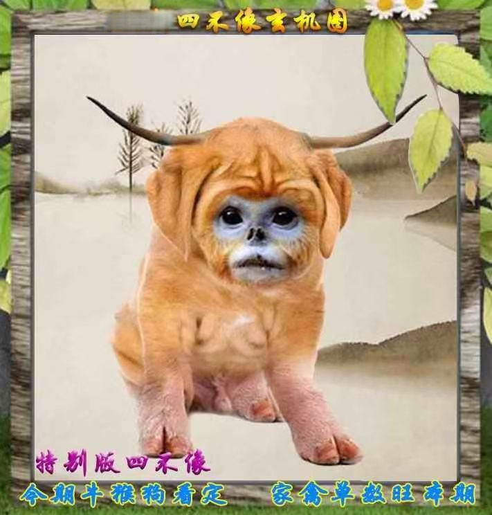 微信图片_20260510153912_1_3.jpg
