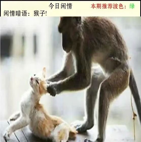 微信图片_20260510153933_23_3.jpg
