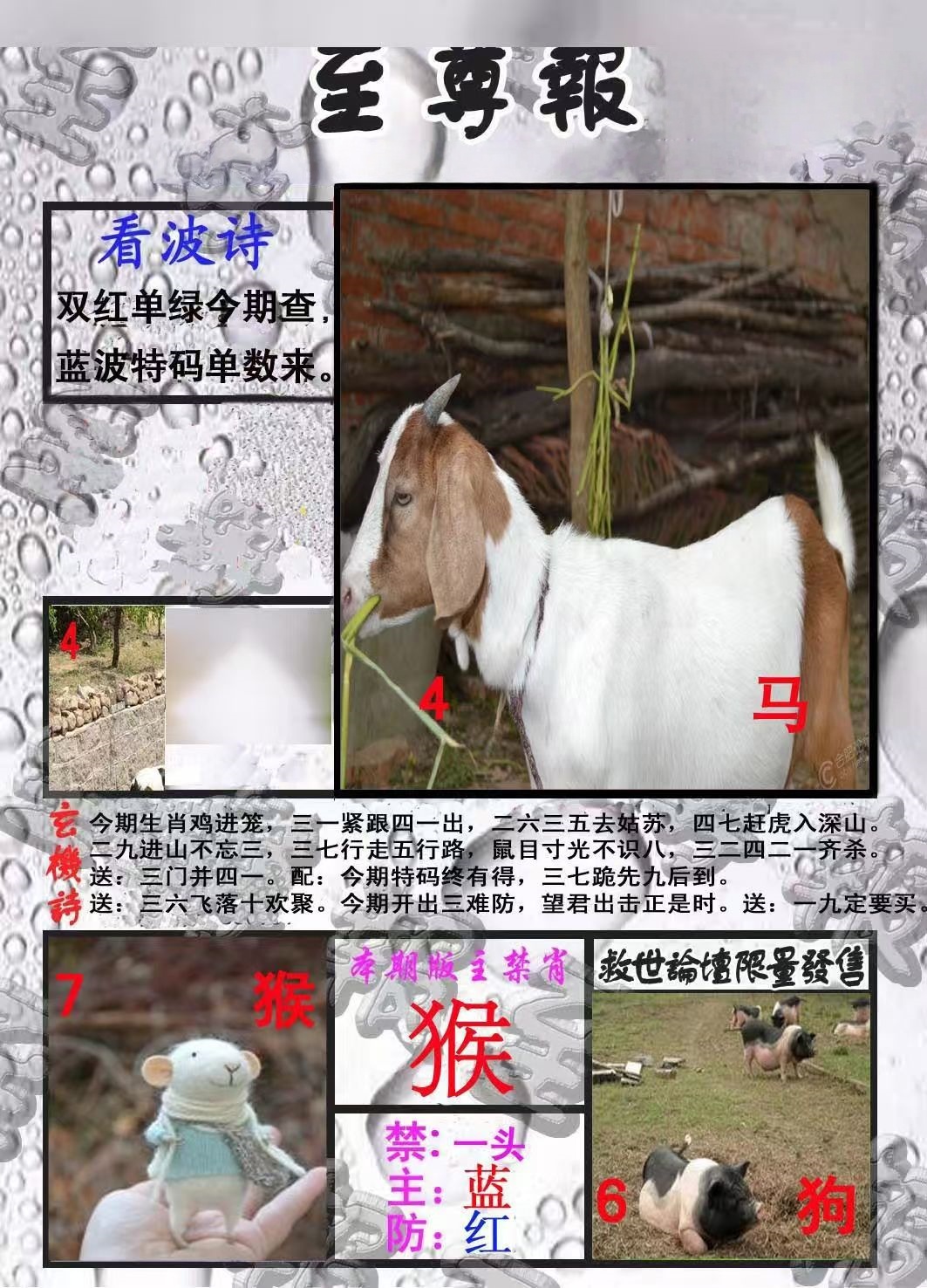 微信图片_20260511140618_107_3.jpg