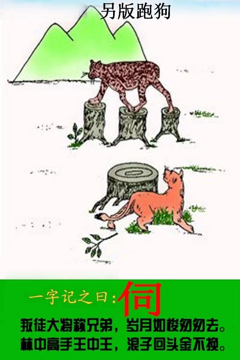 微信图片_20260511140613_104_3.jpg