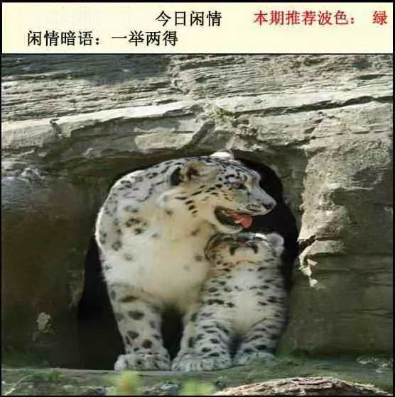 微信图片_20260511140648_124_3.jpg