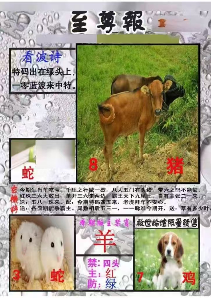 微信图片_20260512162926_30_3.jpg