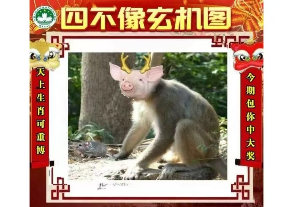 微信图片_20260512162855_22_3.jpg