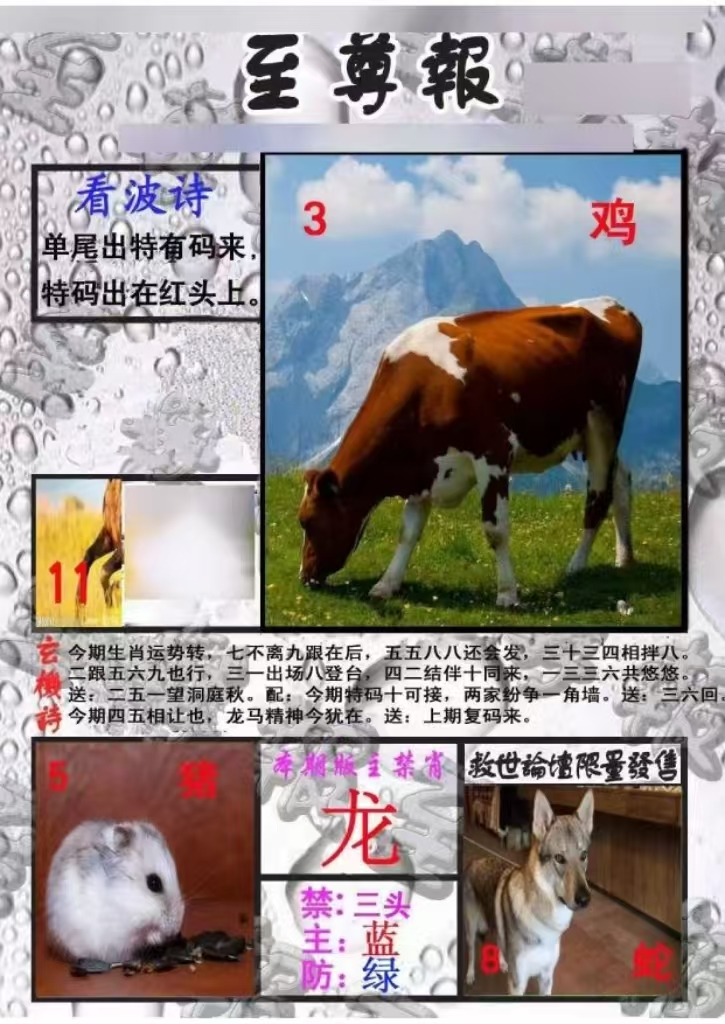 微信图片_20260514163904_18_3.jpg