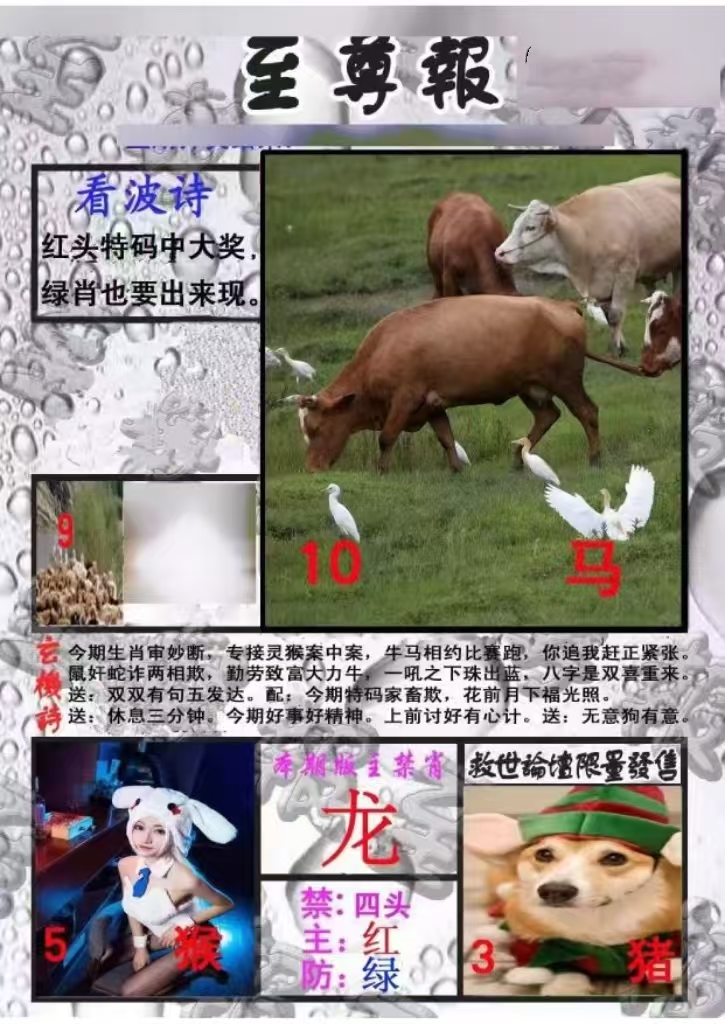 微信图片_20260515161620_81_2.jpg