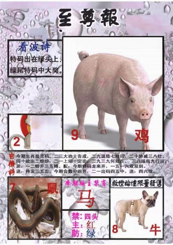 微信图片_20260531152831_11_2.jpg