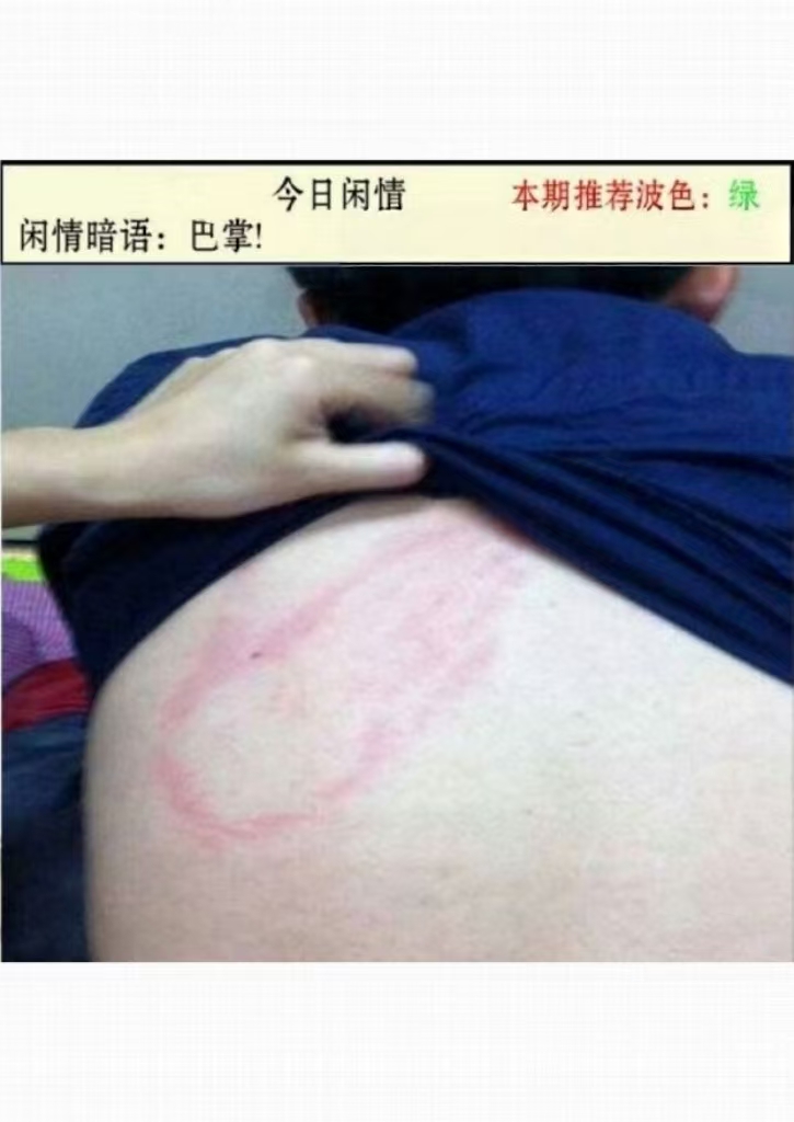 微信图片_20260531152827_6_2.jpg