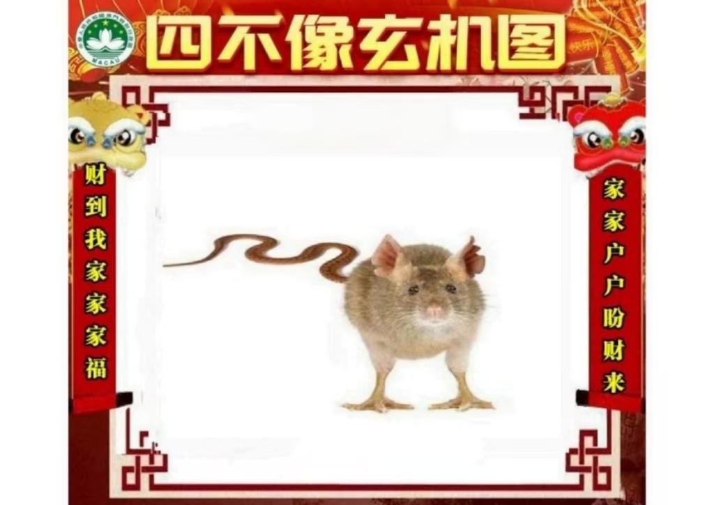 微信图片_20260531152830_9_2.jpg